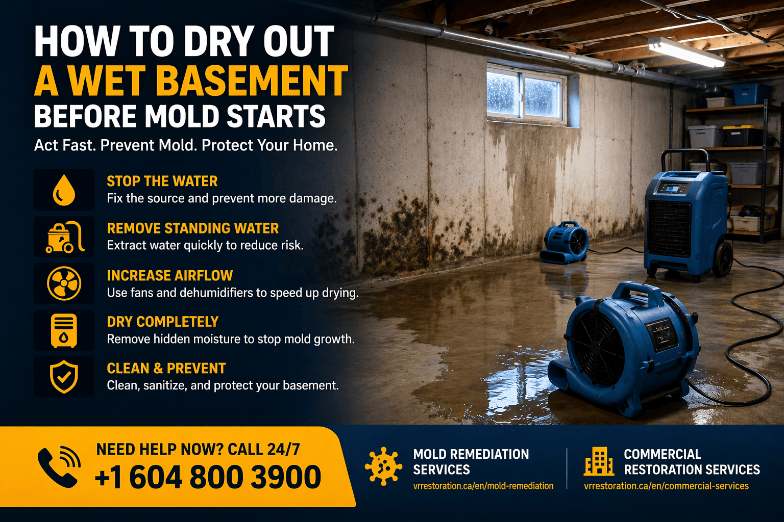 How to Dry Out a Wet Basement Before Mold Starts