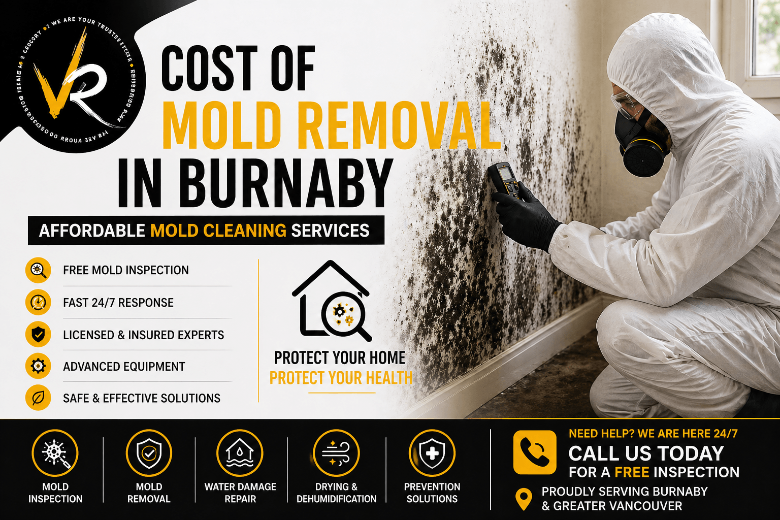 Cost of Mold Removal in Burnaby – Affordable Mold Services