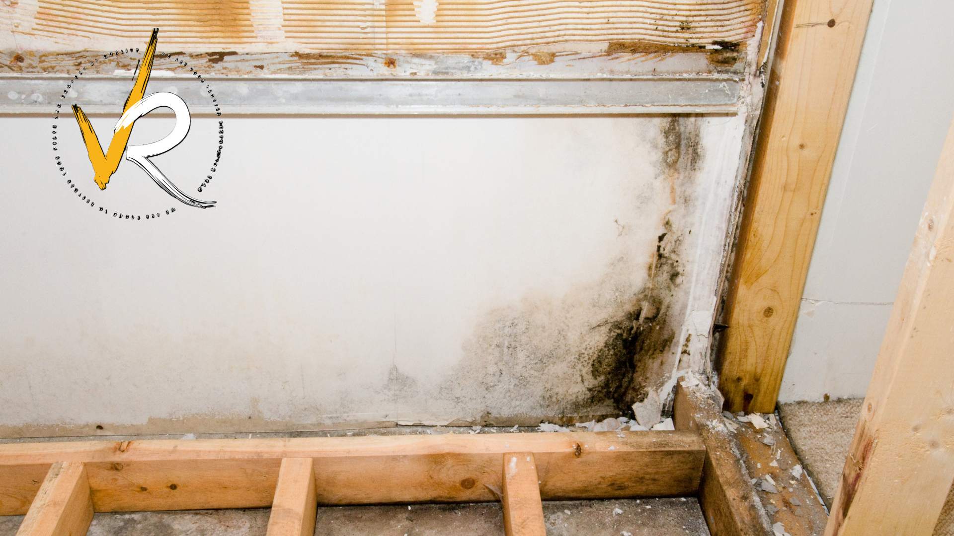 Mold Remediation Vancouver Guide For Homes And Businesses