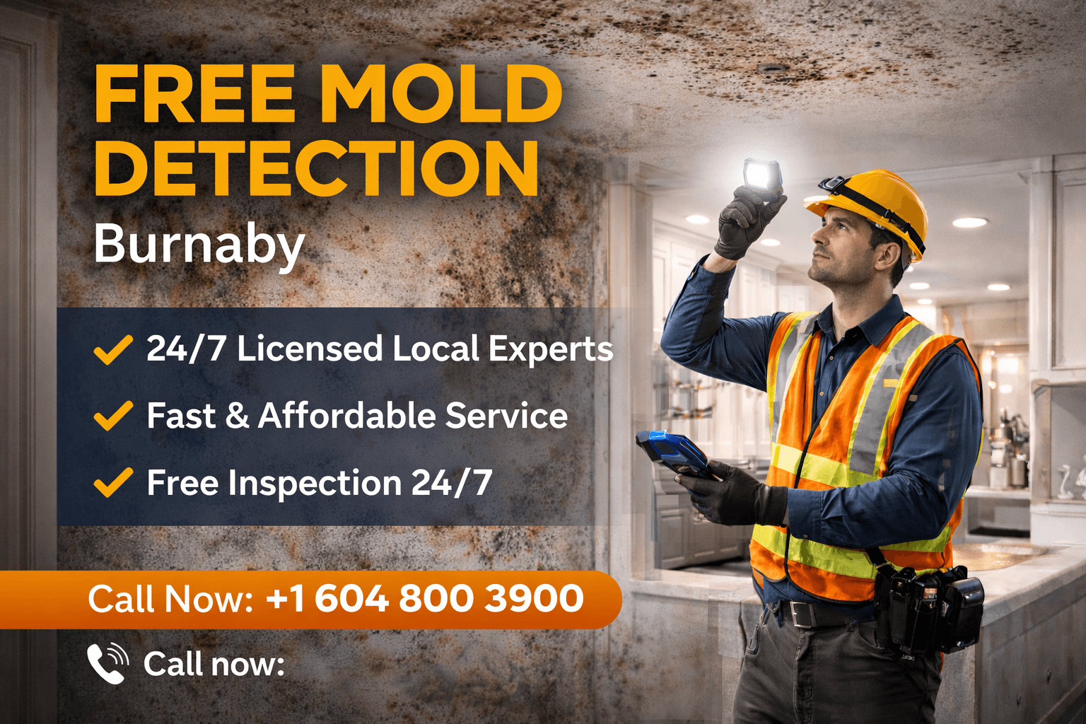 Free Mold Detection in Burnaby – 24/7 Local Licensed Experts