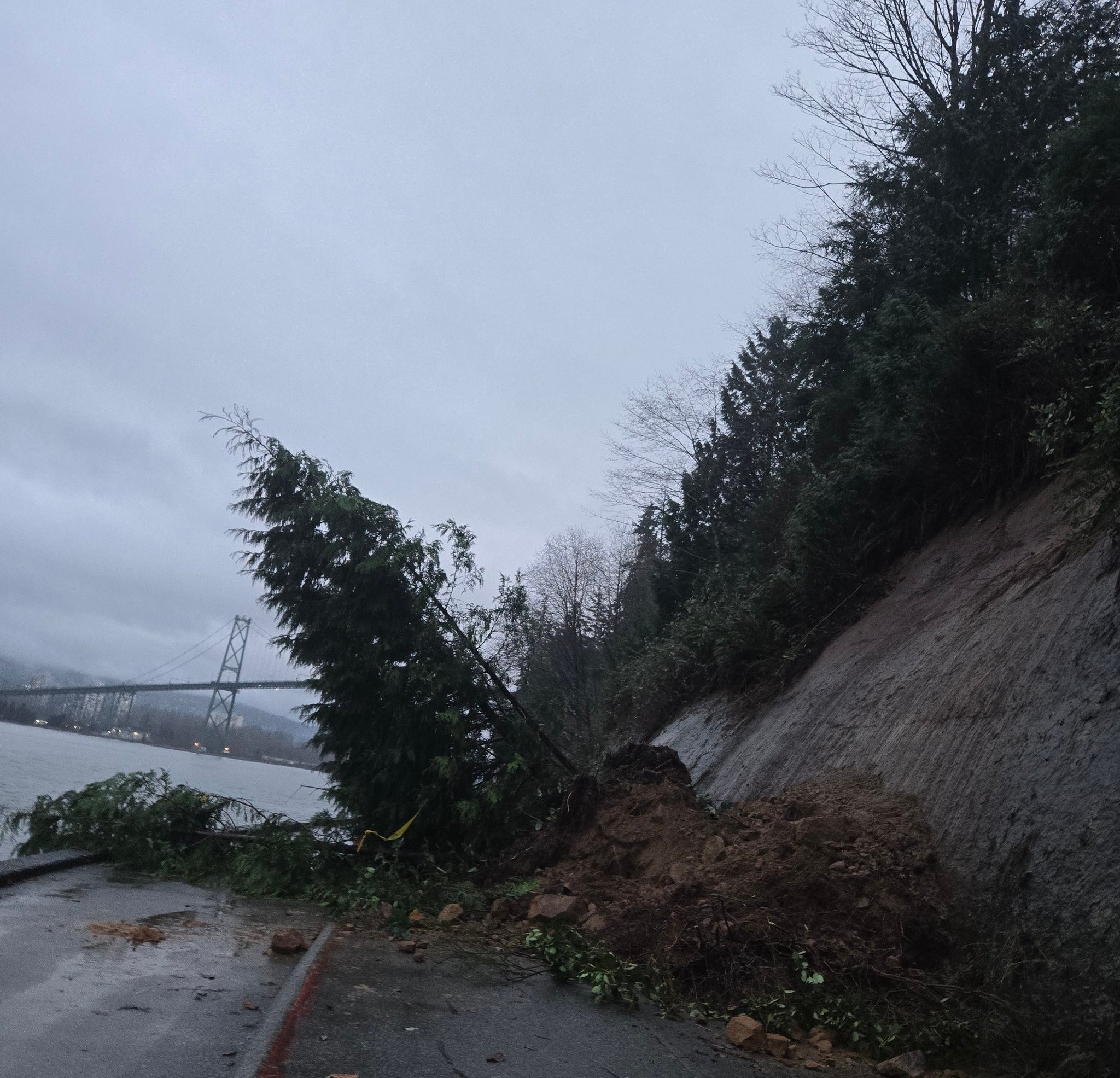 Stanley Park Seawall Closure After Slide What Vancouver Residents Need To Know