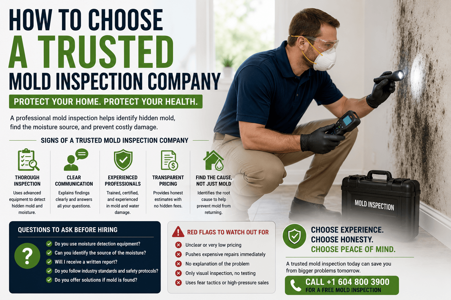 How to Choose a Trusted Mold Inspection Company