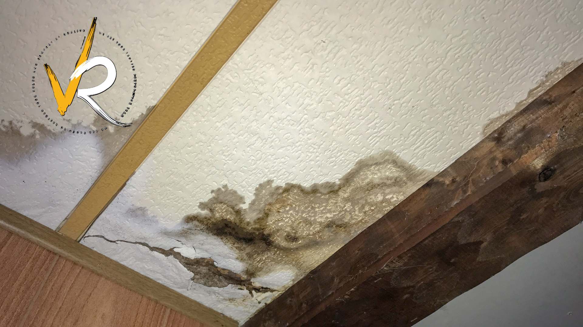 Why West Vancouver Homes Get Mold and Water Damage
