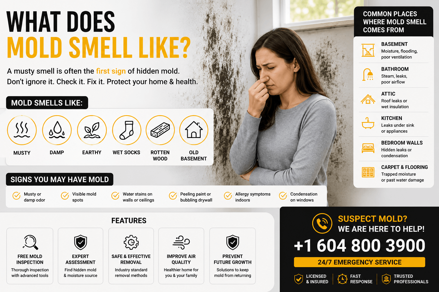 What Does Mold Smell Like?