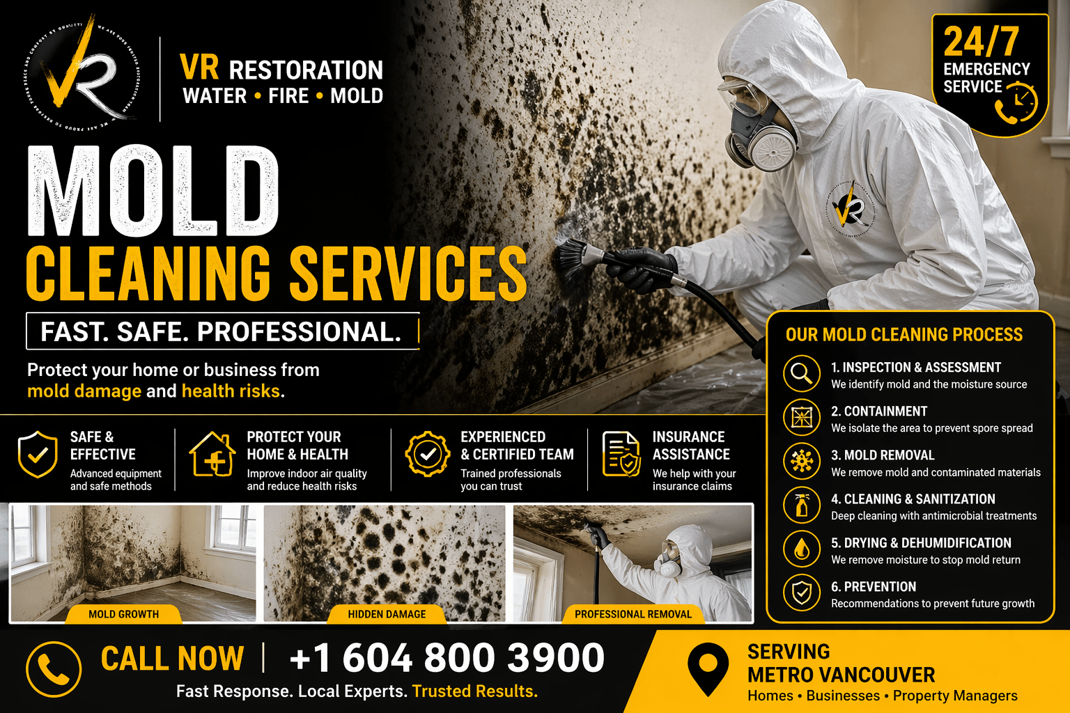 Mold Cleaning Services Professional Mold Removal for Homes and Businesses