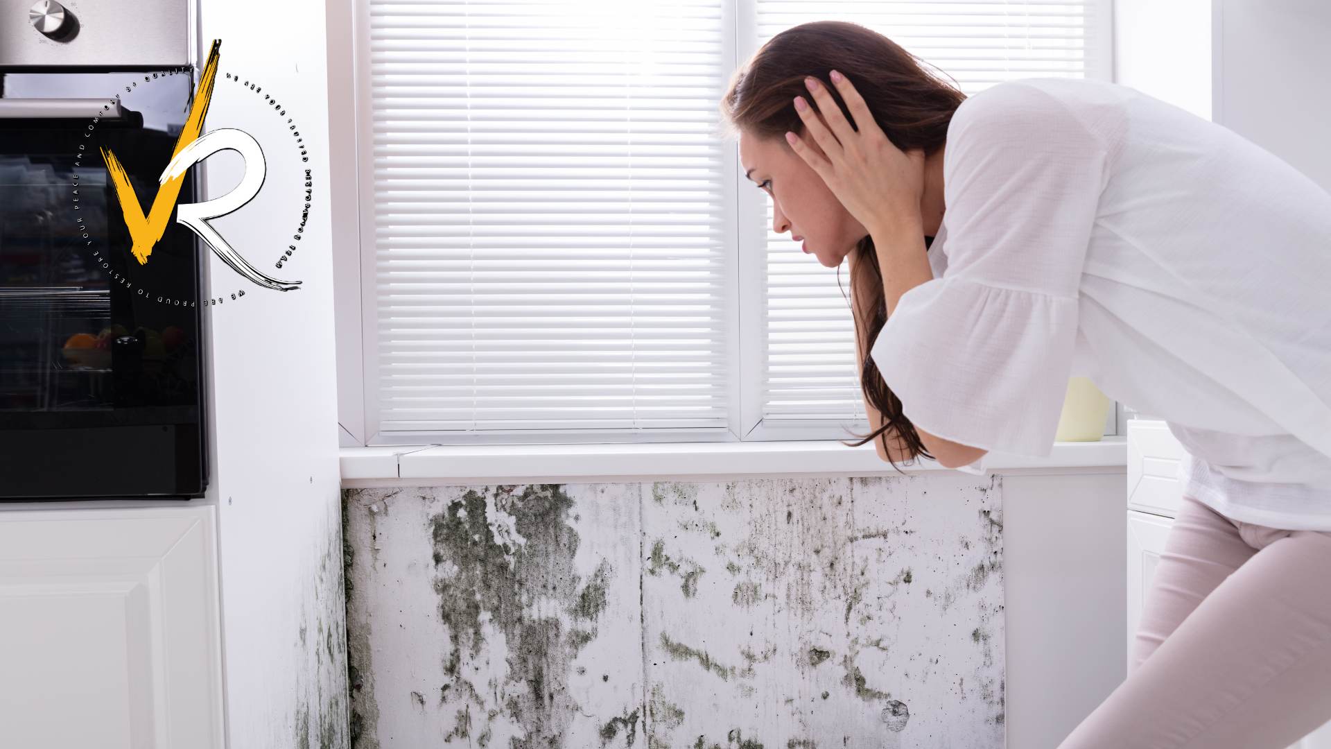 西温哥华霉菌修复 | 霉菌清除，阁楼霉菌清洁，住宅及商业